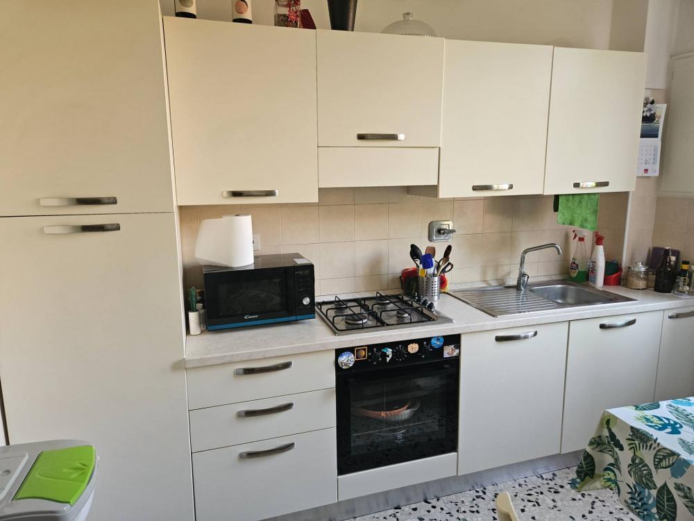 appartamento in affitto a Bologna in zona San Vitale