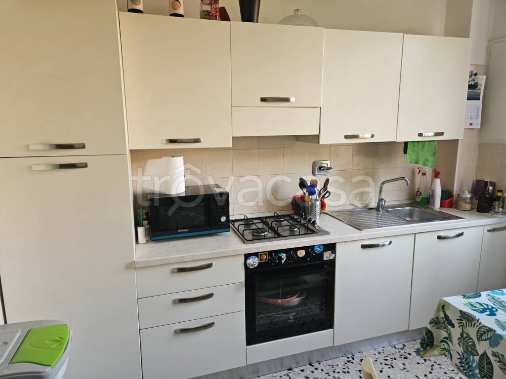 appartamento in affitto a Bologna in zona San Vitale