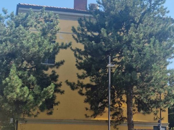 appartamento in affitto a Bologna in zona Savena