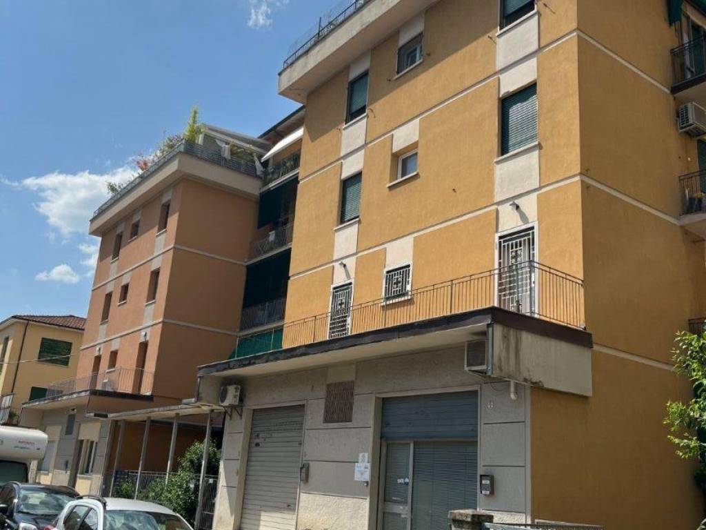appartamento in affitto a Bologna in zona Saragozza