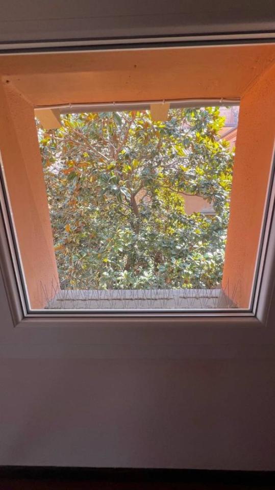 appartamento in affitto a Bologna in zona Centro Storico