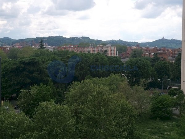 appartamento in affitto a Bologna