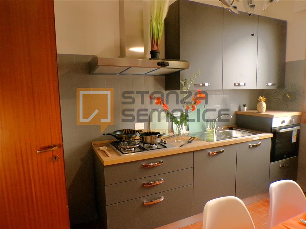 appartamento in affitto a Bologna in zona Savena