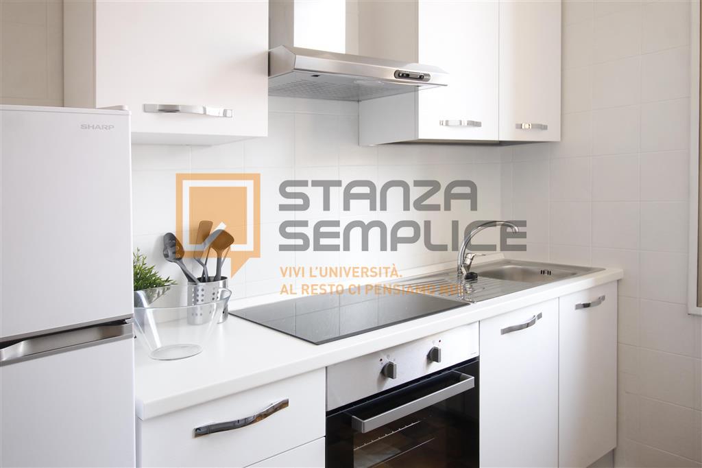 appartamento in affitto a Bologna in zona Saffi