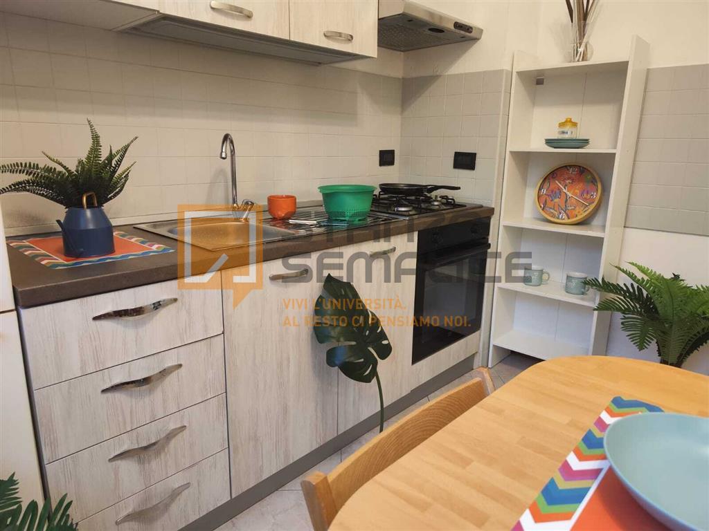 appartamento in affitto a Bologna in zona Saffi