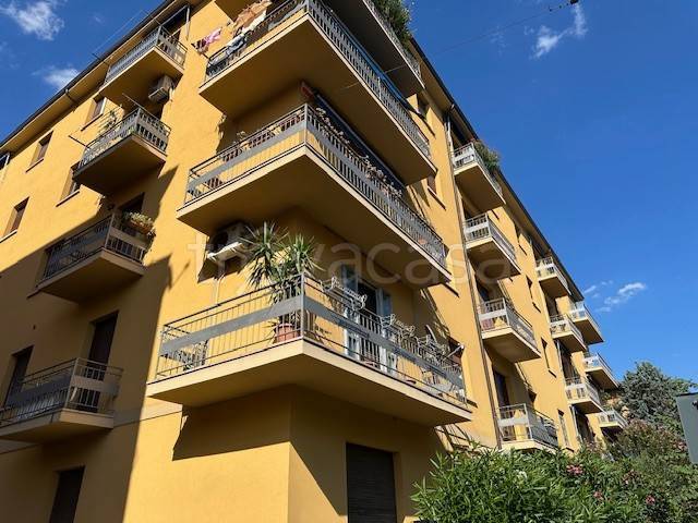 appartamento in affitto a Bologna in zona San Vitale