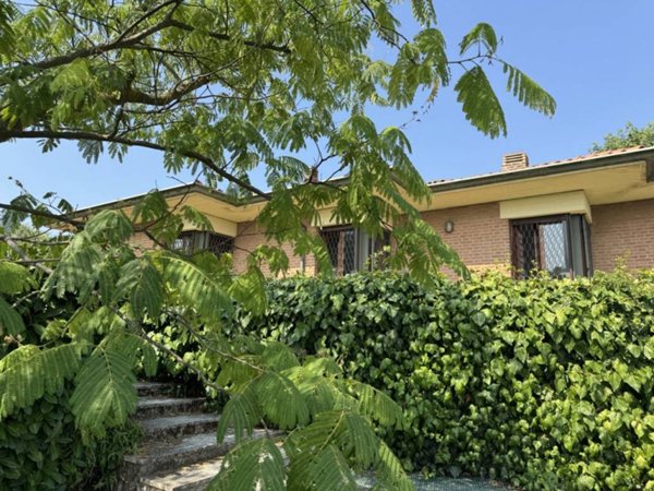 casa indipendente in affitto a Bologna in zona Centro Storico