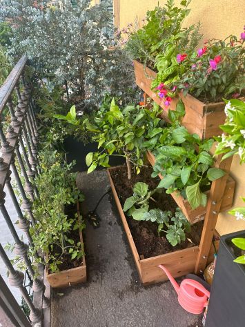 appartamento in affitto a Bologna in zona San Vitale