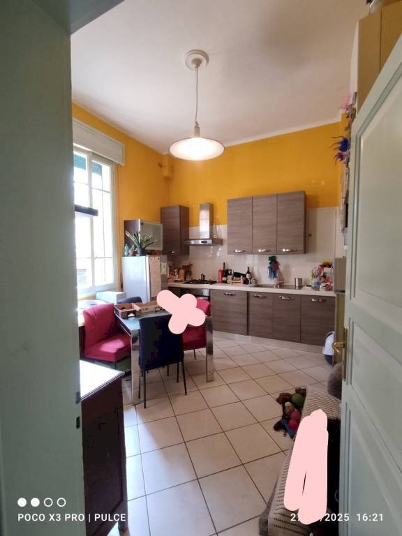 appartamento in affitto a Bologna