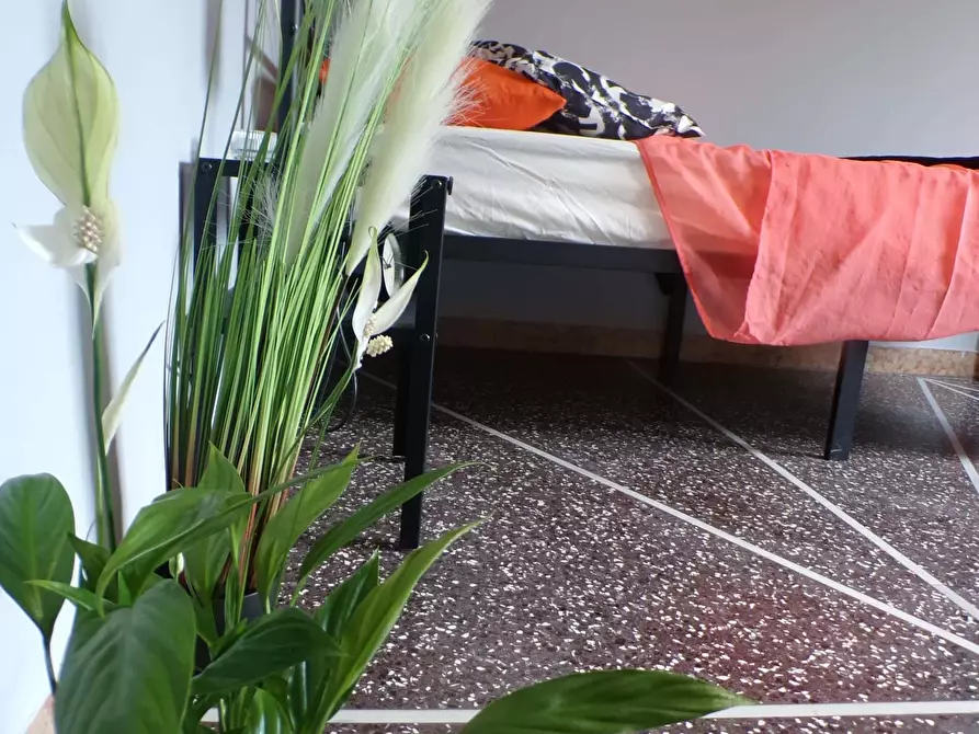appartamento in affitto a Bologna