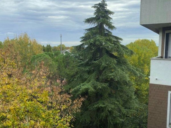 appartamento in affitto a Bologna in zona Corticella