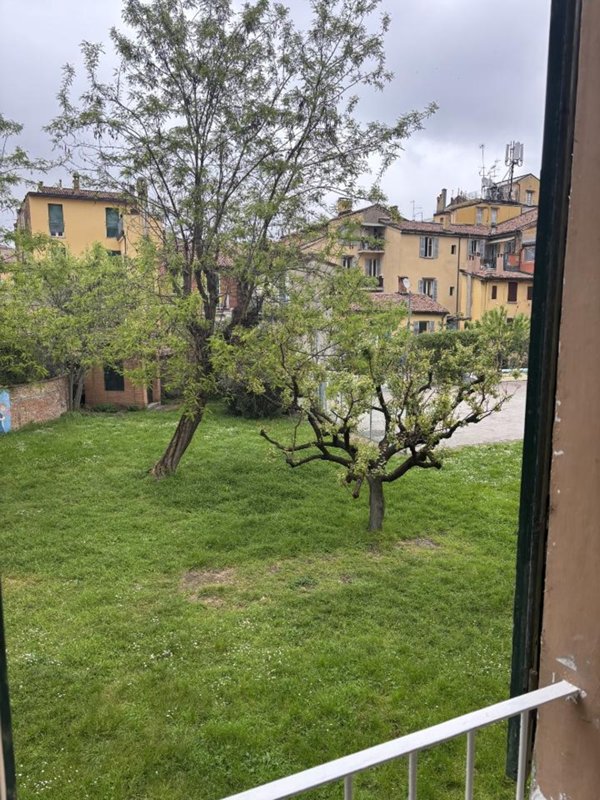appartamento in affitto a Bologna in zona Centro Storico