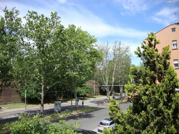 casa indipendente in affitto a Bologna in zona San Donato