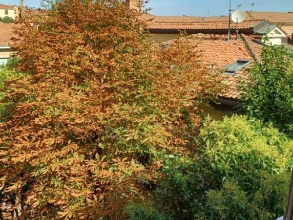 appartamento in affitto a Bologna in zona Murri