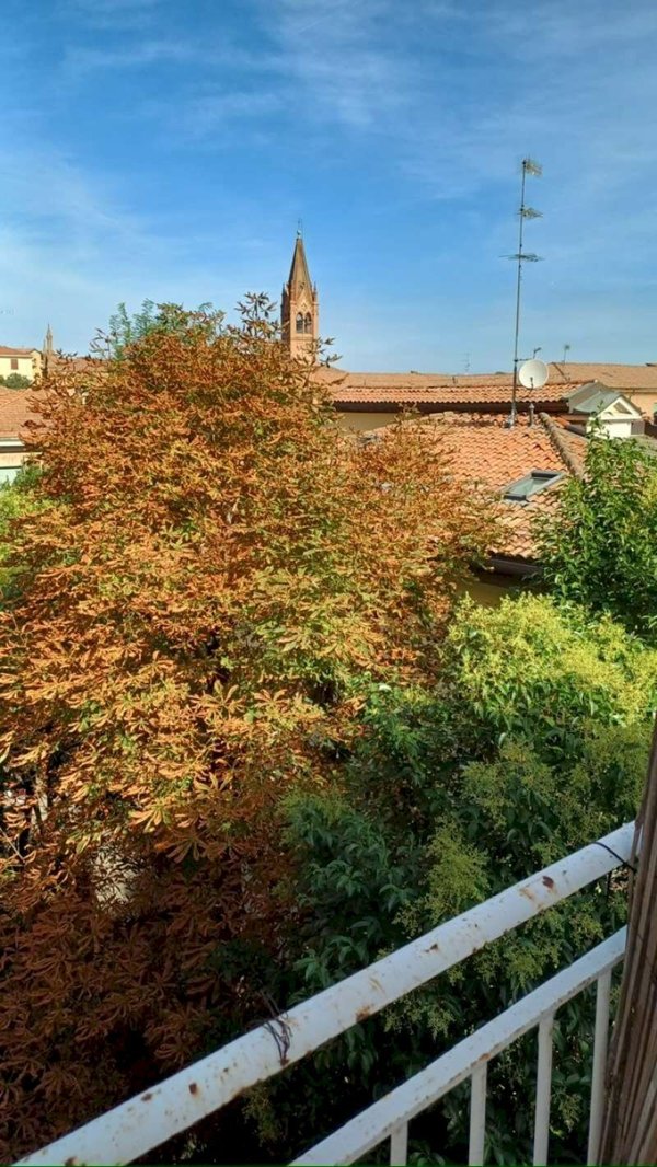 appartamento in affitto a Bologna in zona Murri