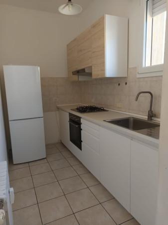 appartamento in affitto a Bologna in zona Centro Storico