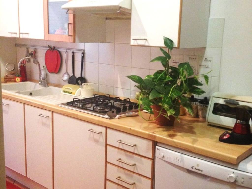 appartamento in affitto a Bologna in zona Centro Storico