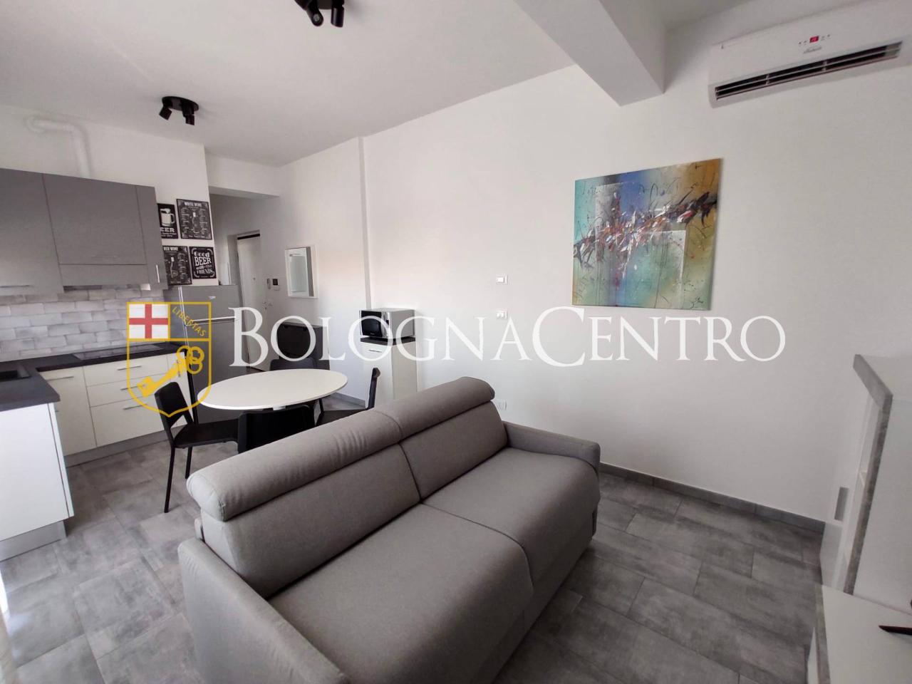 appartamento in affitto a Bologna in zona Quartiere Navile