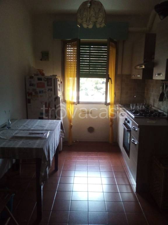 appartamento in affitto a Bologna in zona Bolognina