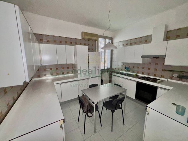 appartamento in affitto a Bologna in zona San Vitale