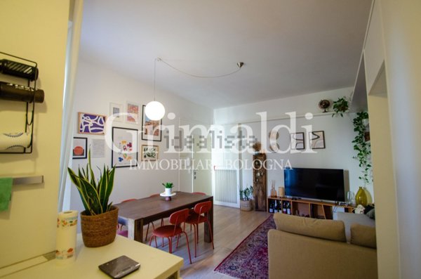 appartamento in affitto a Bologna