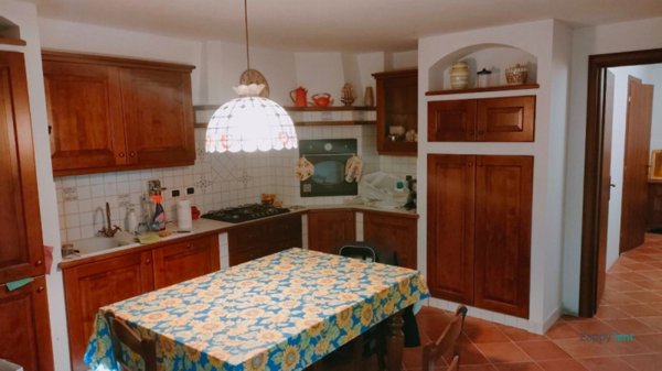 appartamento in affitto a Bologna in zona Centro Storico