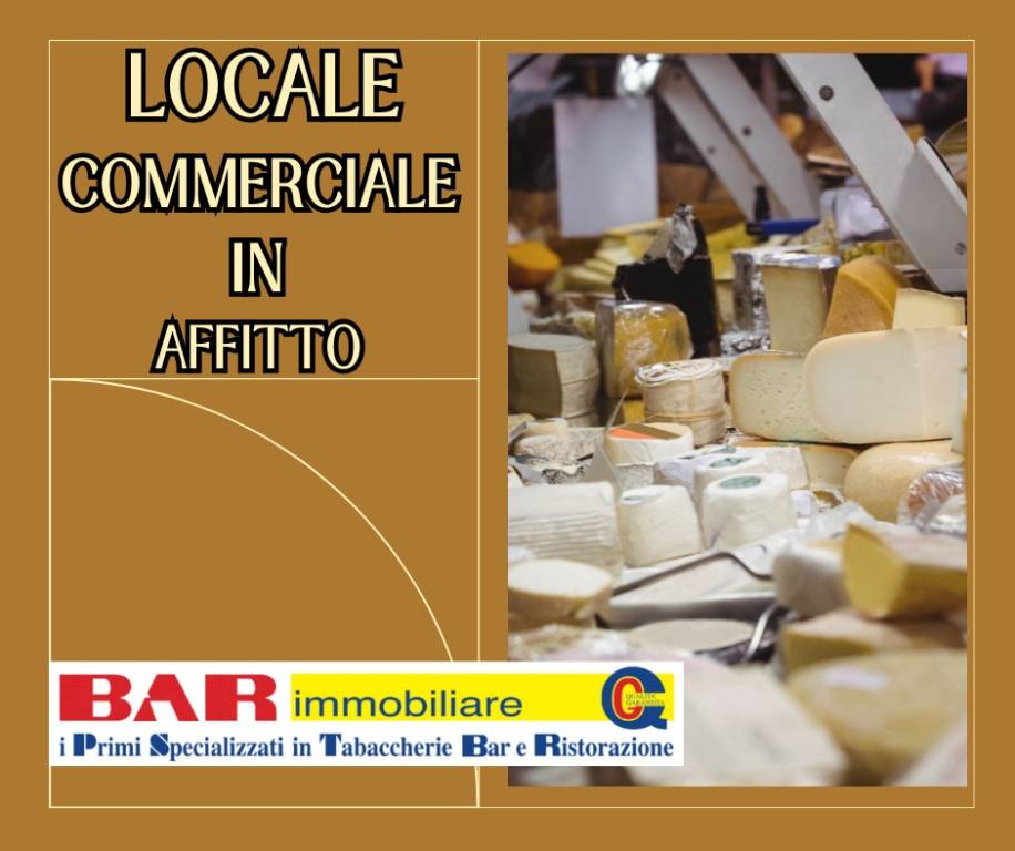 appartamento in affitto a Bologna in zona Centro Storico