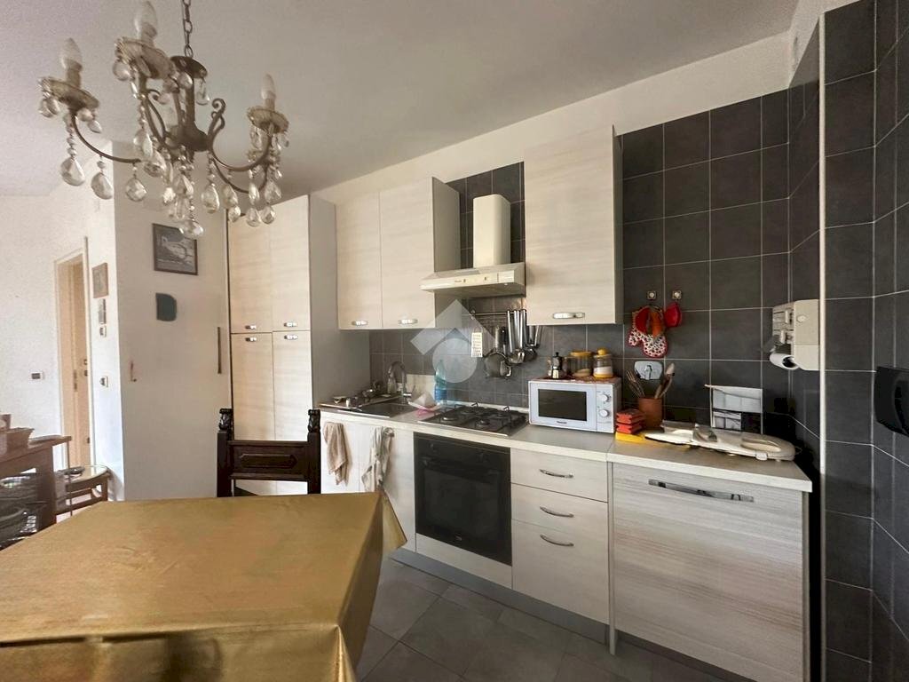 appartamento in affitto a Bologna in zona San Vitale