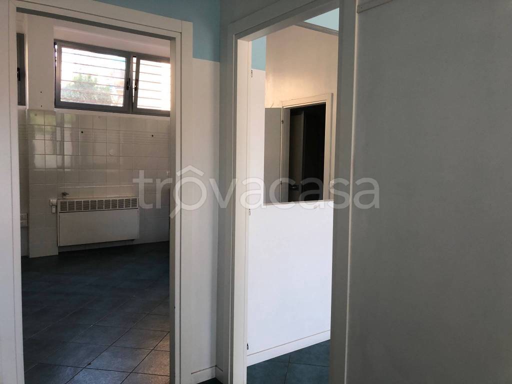 negozio in affitto a Bologna