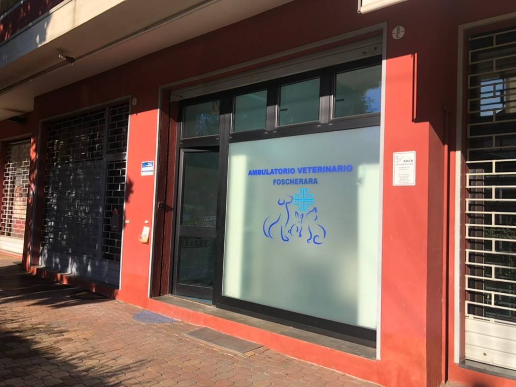 negozio in affitto a Bologna