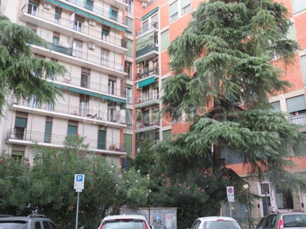 appartamento in affitto a Bologna in zona San Vitale