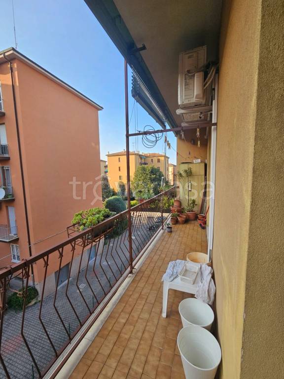 appartamento in affitto a Bologna