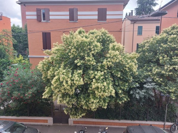 appartamento in affitto a Bologna in zona Bolognina