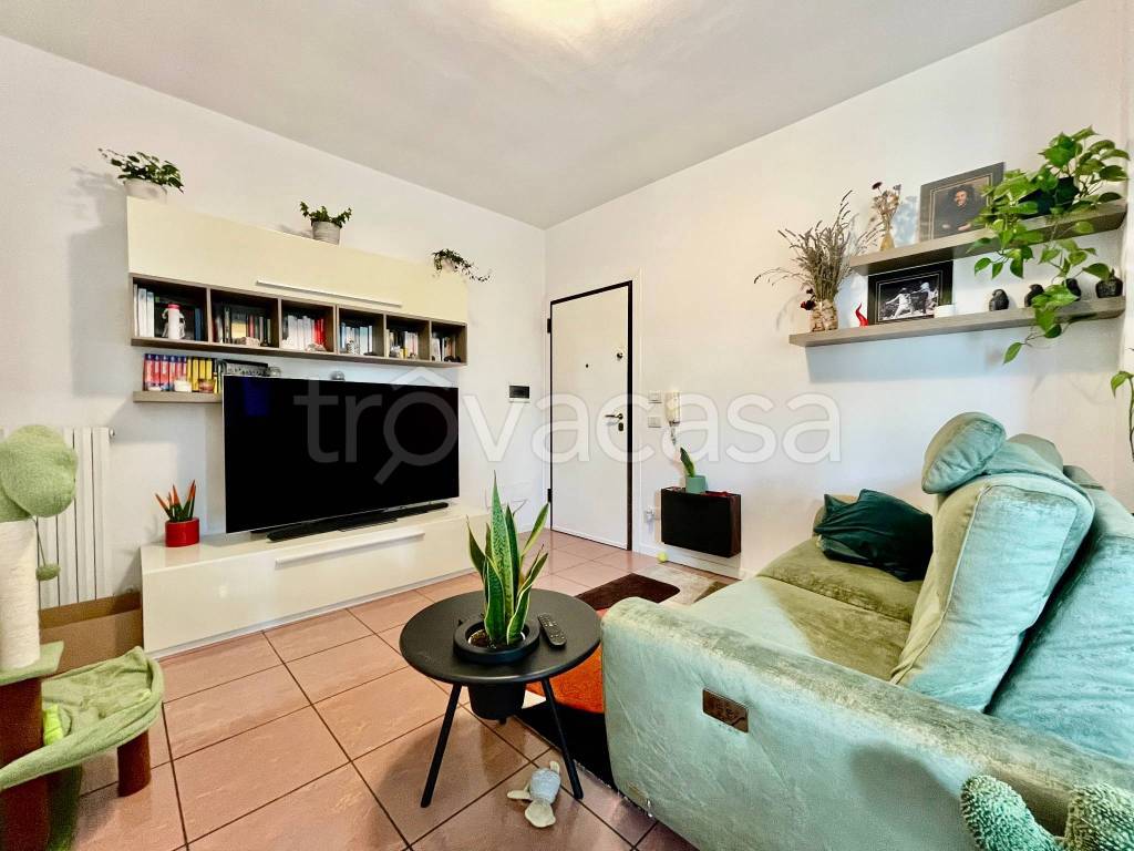 appartamento in affitto a Bologna