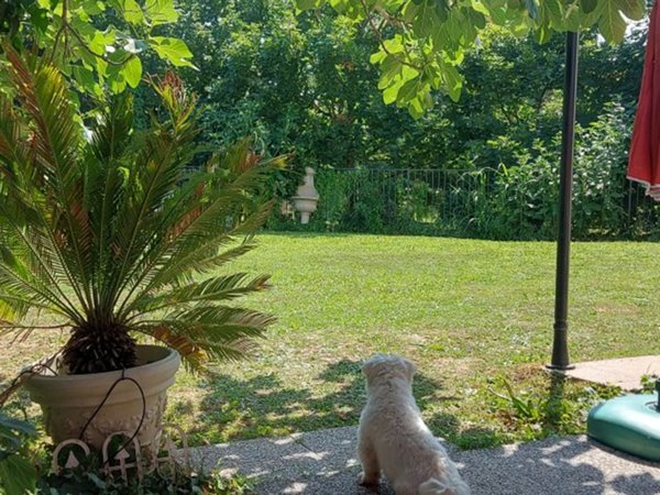 camera singola in affitto a Bologna in zona San Donato