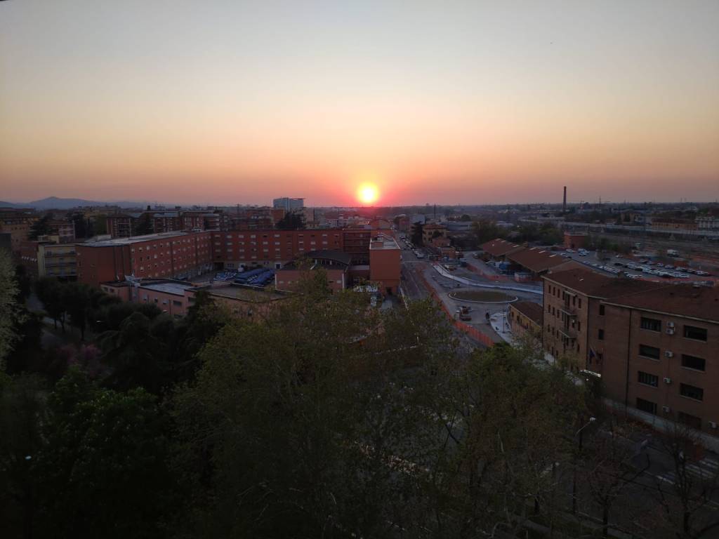 appartamento in affitto a Bologna in zona Centro Storico