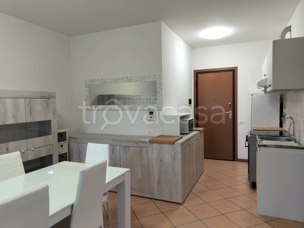 appartamento in affitto a Bologna in zona San Vitale