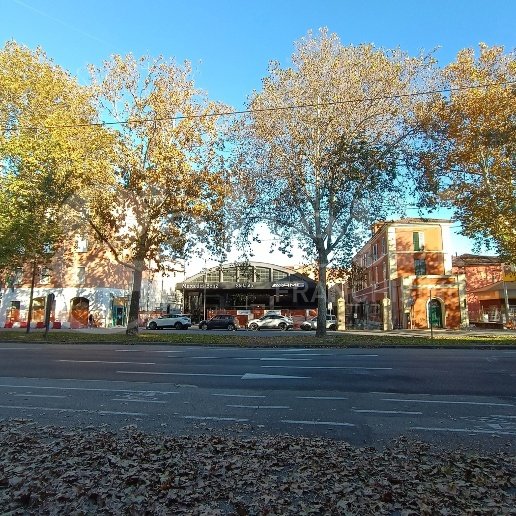 appartamento in affitto a Bologna in zona San Vitale