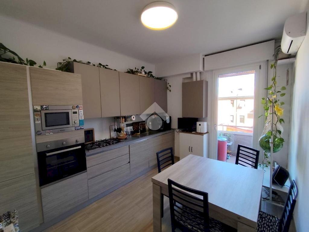 appartamento in affitto a Bologna