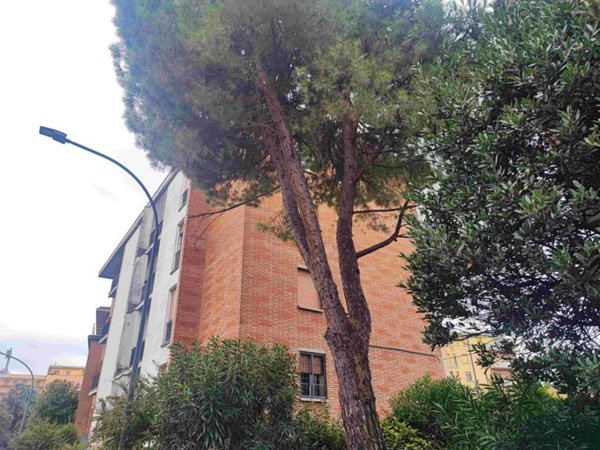 appartamento in affitto a Bologna in zona Borgo Panigale