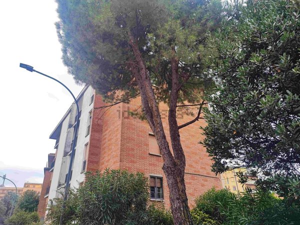 appartamento in affitto a Bologna in zona Borgo Panigale