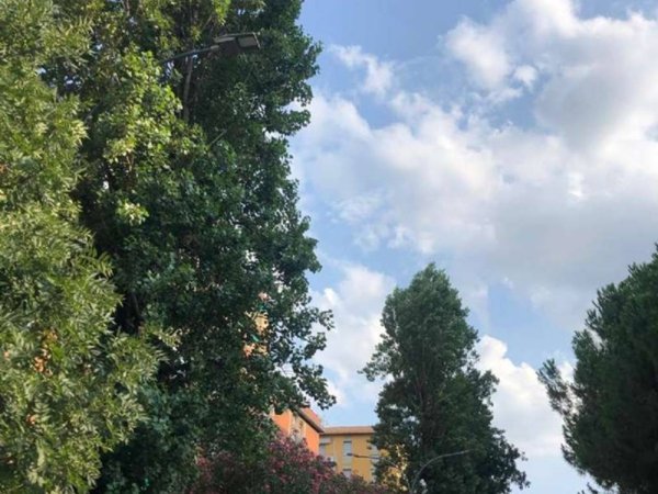 appartamento in affitto a Bologna in zona Pilastro