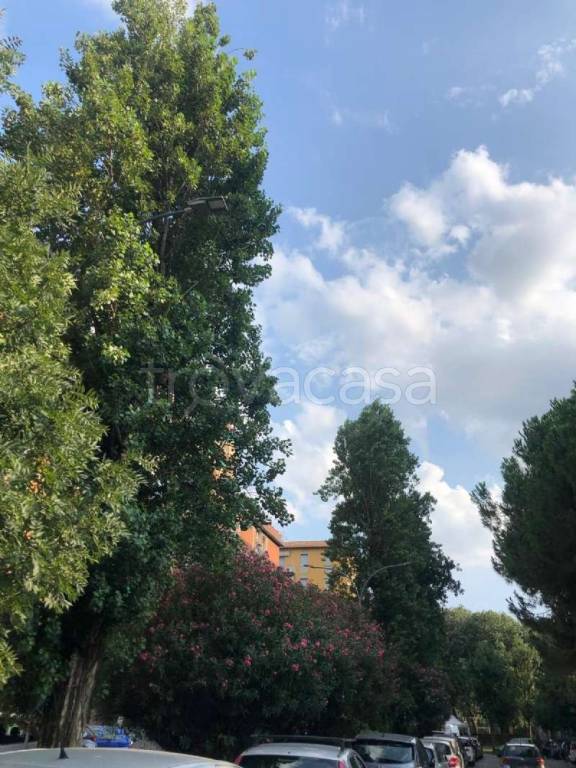 appartamento in affitto a Bologna in zona San Donato