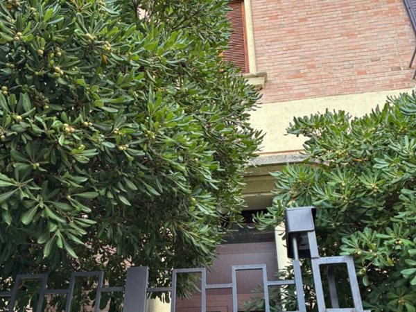 appartamento in affitto a Bologna in zona Saffi