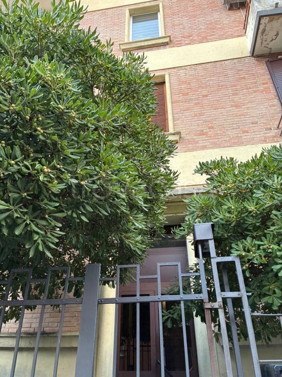 appartamento in affitto a Bologna in zona Saffi
