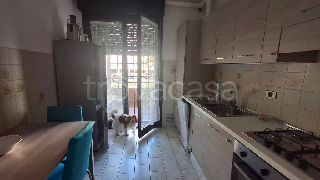 appartamento in affitto a Bologna in zona Savena