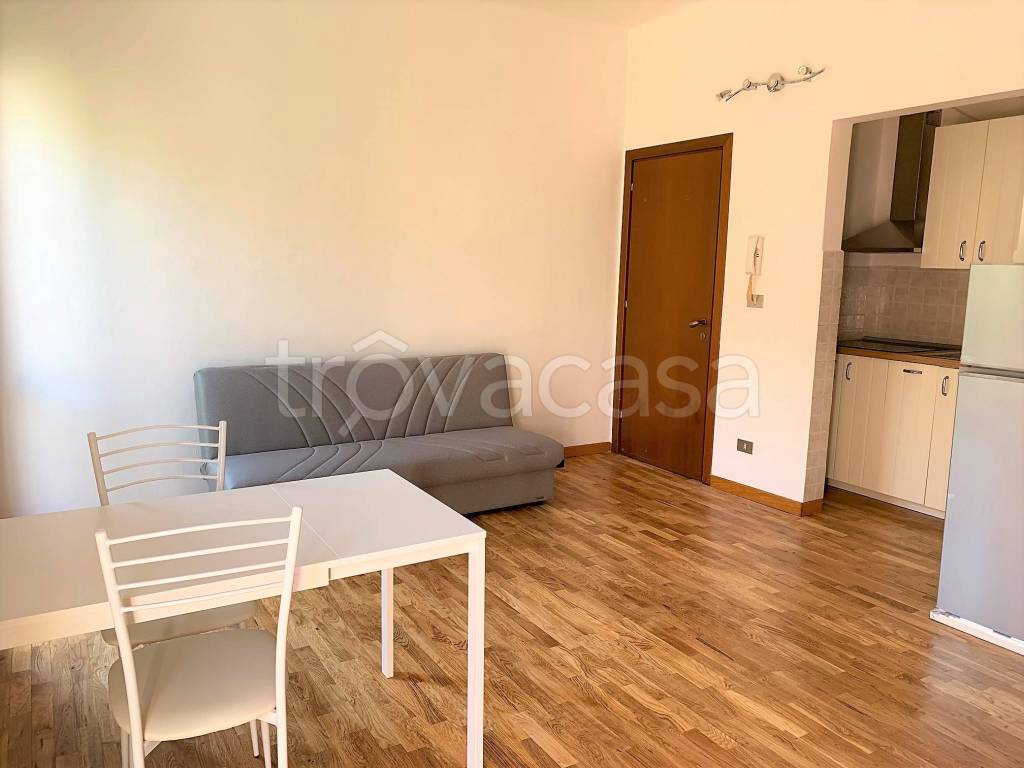 appartamento in affitto a Bologna in zona Saffi