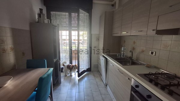 appartamento in affitto a Bologna