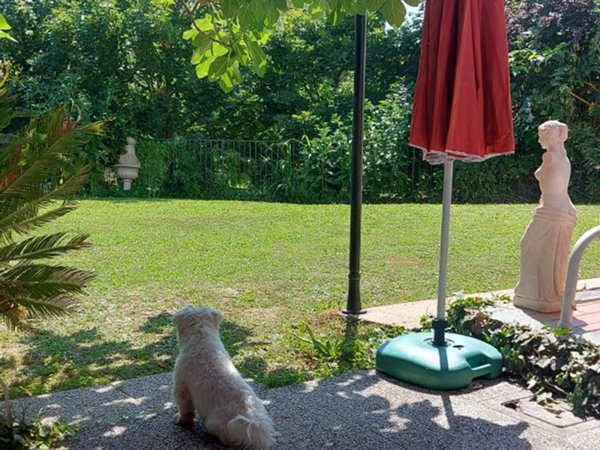 camera singola in affitto a Bologna in zona San Donato