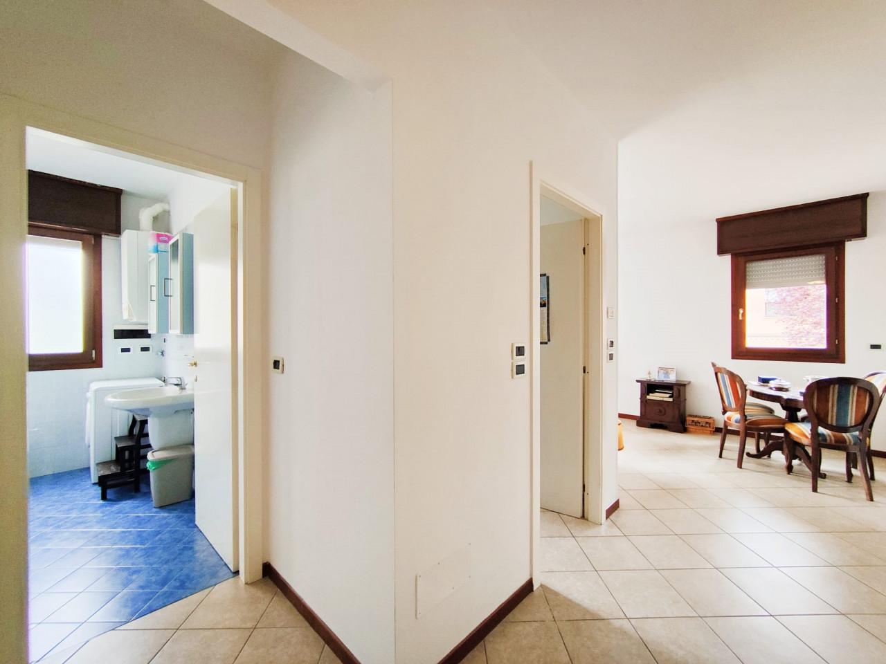 appartamento in affitto a Bologna in zona Murri